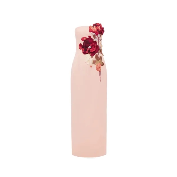 Rayna Embroidered Bustier Maxi Dress in Reverie Print in Nectar