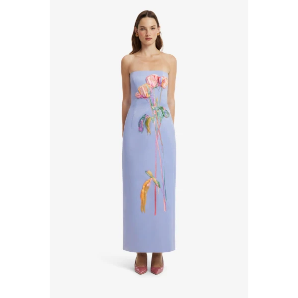 Rayna Embroidered Bustier Maxi Dress