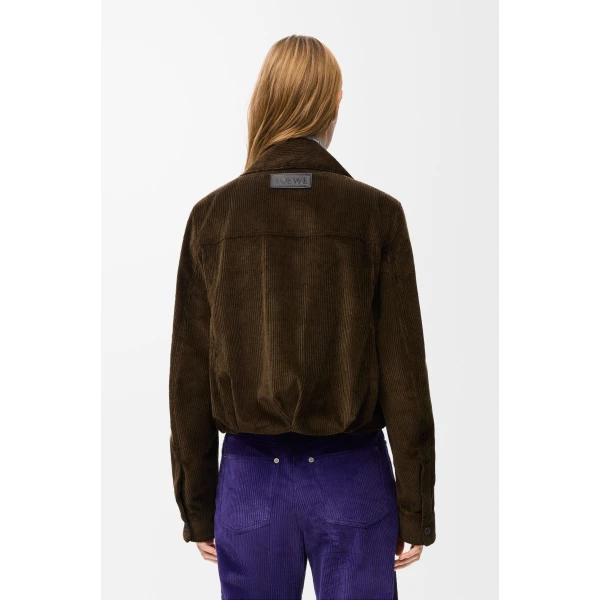 Jacket in Cotton Corduroy, Brown - Image 4