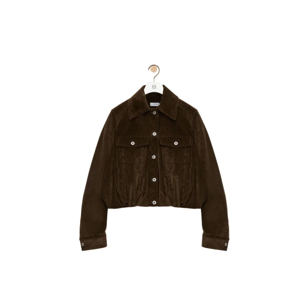 Jacket in Cotton Corduroy, Brown