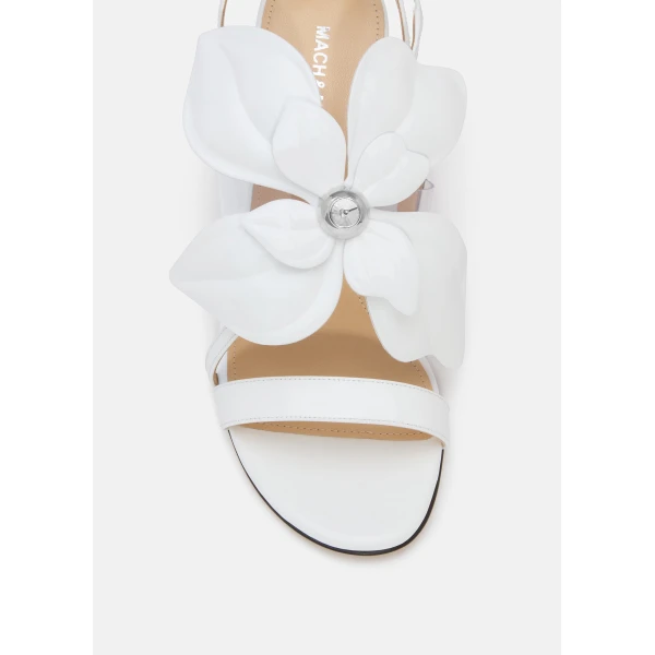 White Mach & Mach Orchid Round Toe Sandals in White, view 5 | Sandals