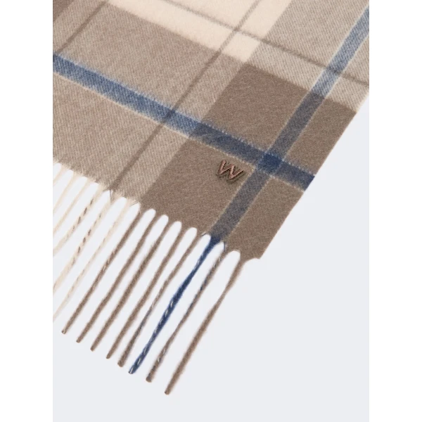Max Mara Cashmere Tartan Jacquard Scarf in Brown | Scarves | Coveti