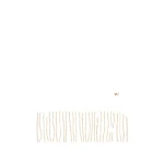 Max Mara Cashmere Tartan Jacquard Scarf in Camel | Scarves | Coveti