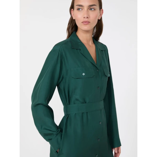 Max Mara Edile Silk Shirt Dress in Dark Green | Shirtdress | Coveti