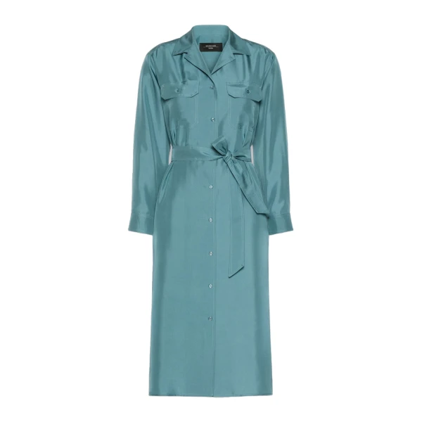 Max Mara Edile Silk Shirt Dress in Light Blue | Shirtdress | Coveti