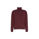 Max Mara Kiku Wool and Silk Turtleneck in Bordeaux | Turtlenecks | Coveti