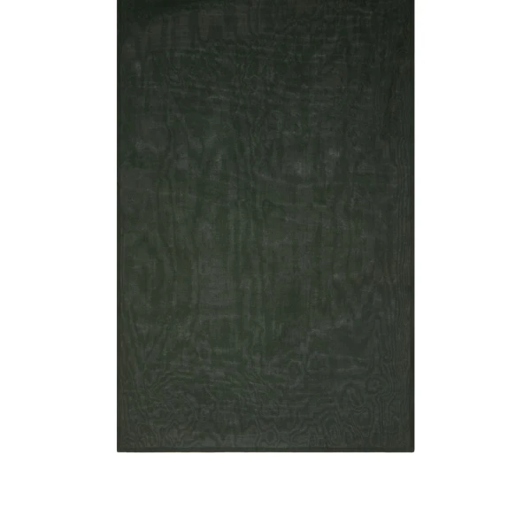 Rose Silk-Blend Shawl in Moss Green