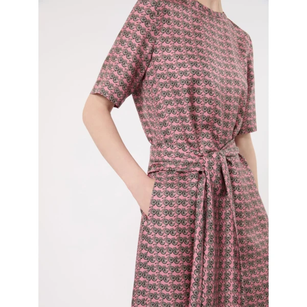 Max Mara Samba Printed Silk Twill Dress in Pink | Maxi Dresses | Coveti