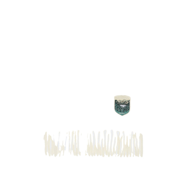 Max Mara Scalata Alpaca and Wool Stole in White | Scarves | Coveti