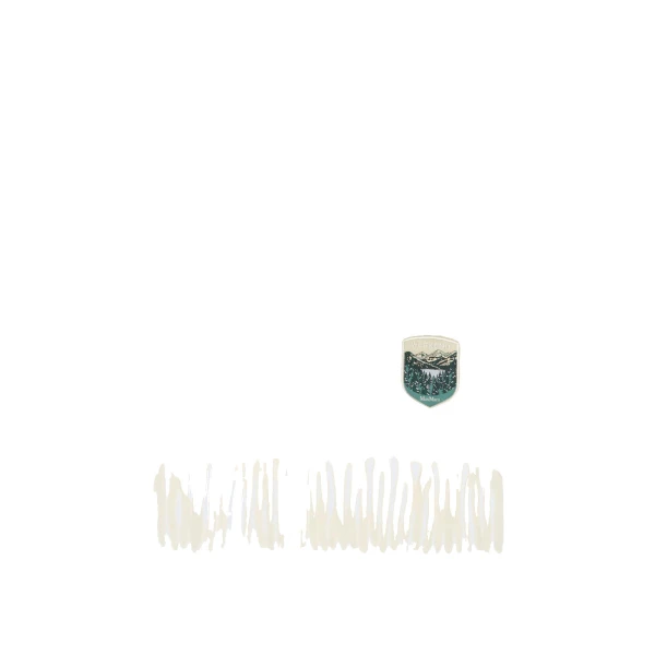Max Mara Scalata Alpaca and Wool Stole in White | Scarves | Coveti