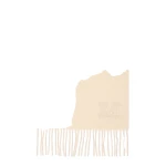 Max Mara Wsdalia Monogram Cashmere Stole in Ivory | Scarves | Coveti