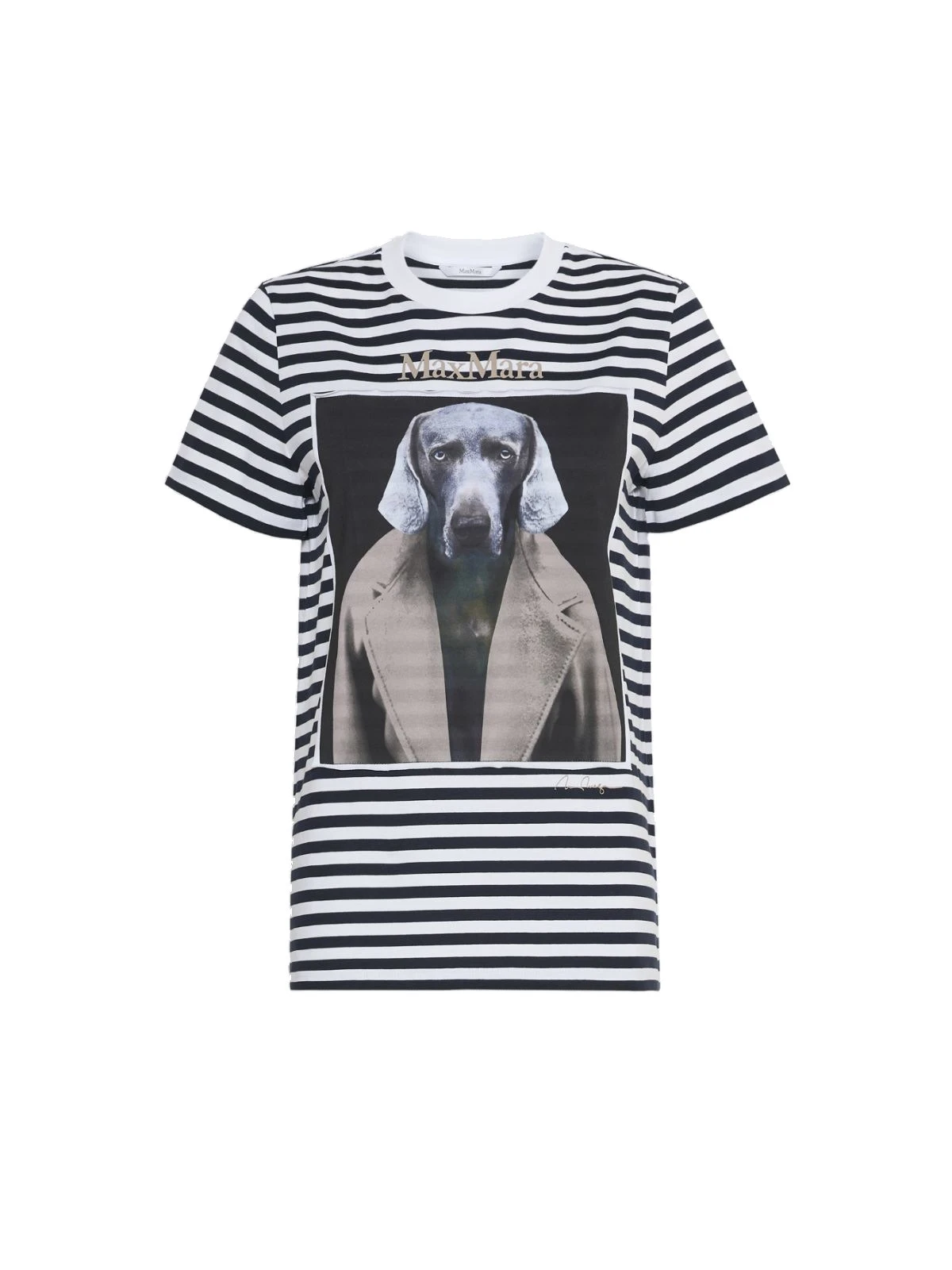 Max Mara Zelante Striped Wegman Print T-Shirt in White Blue Max Mara Zelante Striped Wegman Print T-Shirt in White Blue | T-shirts | Coveti