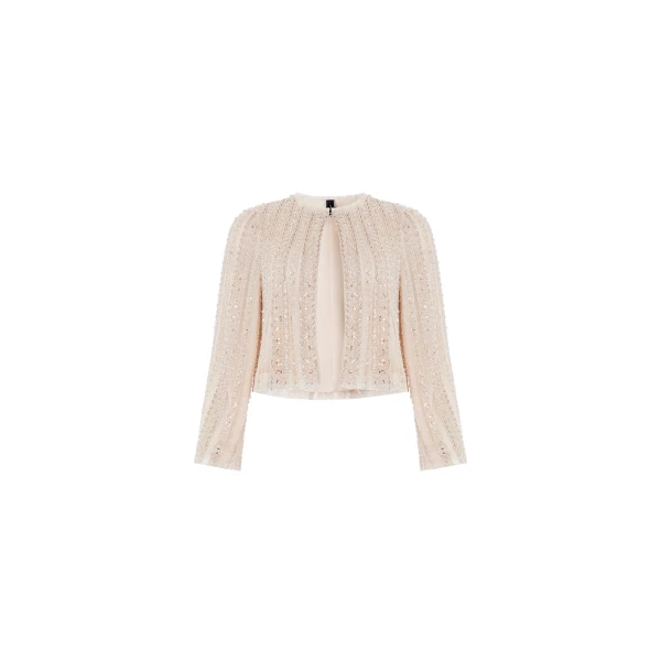 Jet Embellished Jacket in Moonbeam / Silver