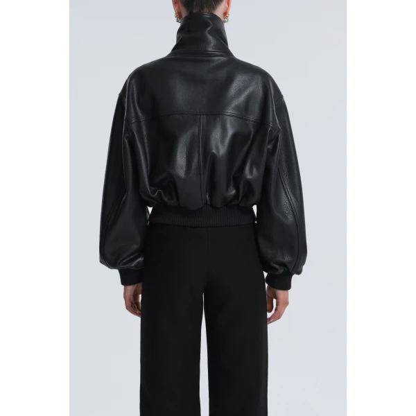 Nour Hammour Fall 2026