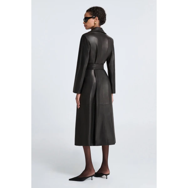 Nour Hammour Fall 2026