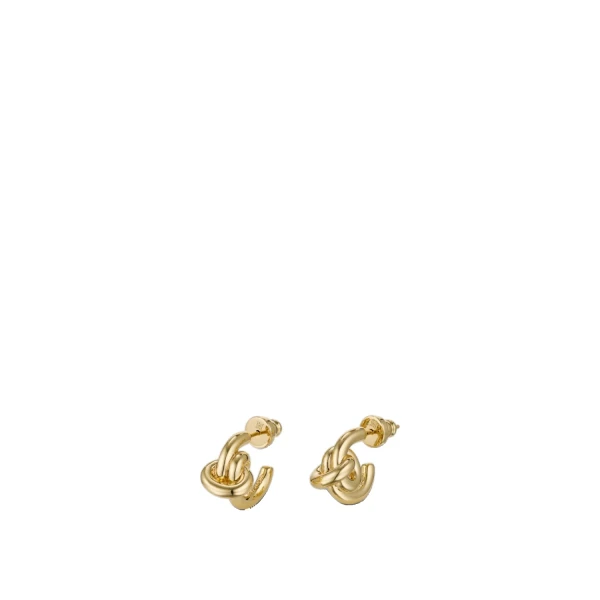 Briar Small Hoop Earrings Gold