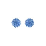 Oscar de la Renta Beaded Cluster Earrings