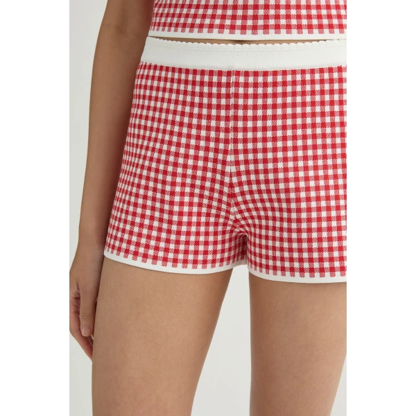 Posse Micah Short in Red Gingham | Shorts | Coveti, view 3