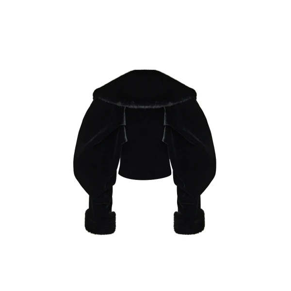 Rasario Cropped Velvet Coat with Faux Fur Inserts in Black, view 2