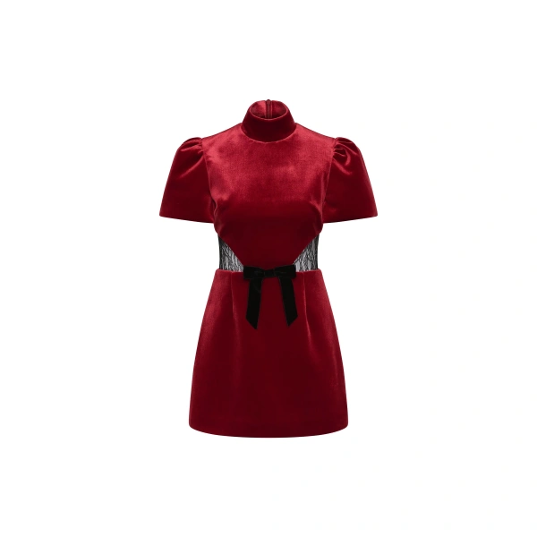 Crimson Rose Mini Dress