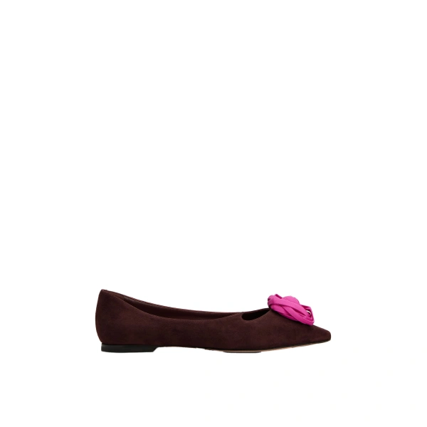 Rose Vivier Ballerinas in Burgundy Suede