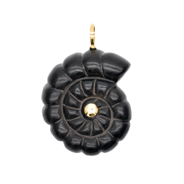 Rosa de la Cruz Ebony Nautilus Pendant in Ebony, 18K Yellow Gold | Fine Pendants and Charms | Coveti