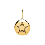 Rosa de la Cruz Star Medallion in 18K Yellow Gold, Brown Diamond | Fine Pendants and Charms | Coveti