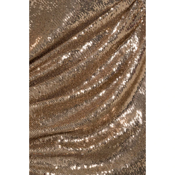 Coralie Sequin Gown in Light Gold - Image 6