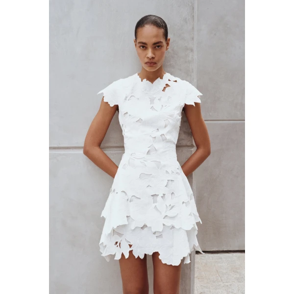 SIMKHAI Holloway Embroidered Mini Dress in White