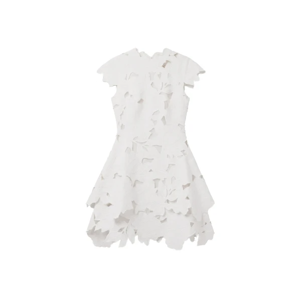 Holloway Embroidered Mini Dress in White