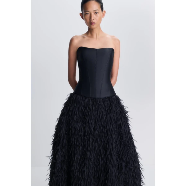 SIMKHAI Leanna Featherlike Organza Gown in Black
