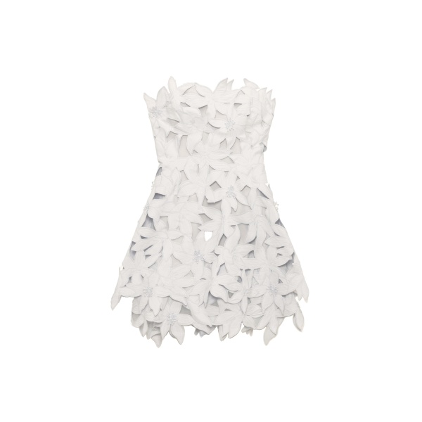 SIMKHAI Miri Embroidered Cotton Bustier Mini Dress in Ivory