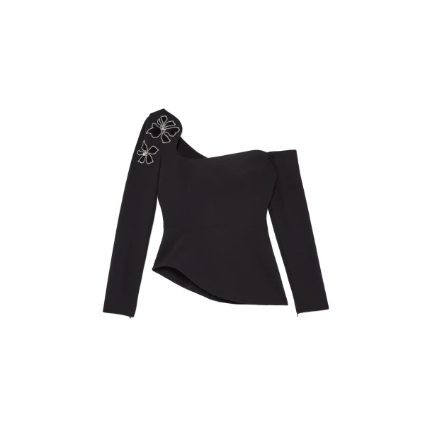 Safiyaa Aime Embroidered Top in Black | Tops | Coveti