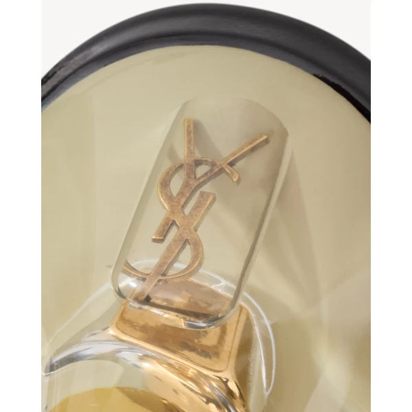Multicolour Saint Laurent Fanny Slingback Pumps in Tpu and Patent Leather, view 4 | Heels