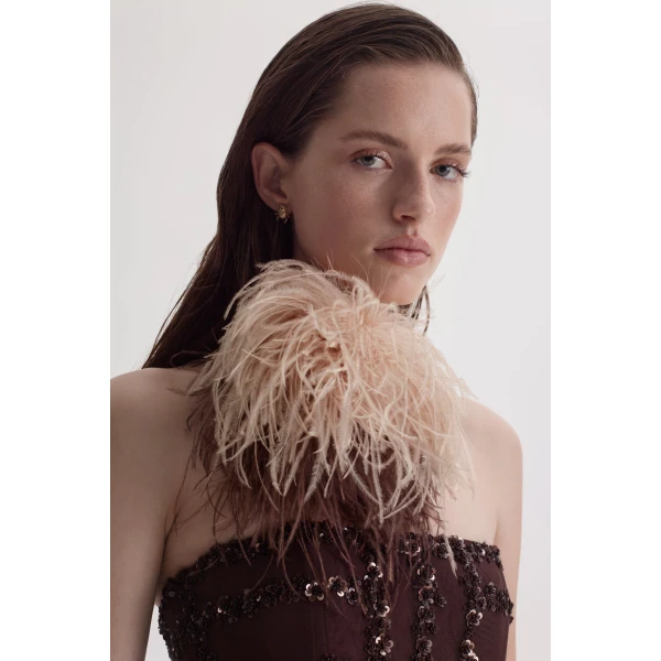 Scanlan Theodore Beaded Tulle Gown in Chocolate