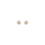 Scanlan Theodore Crystal Petal Studs in Light Gold Crystal | Earrings | Coveti