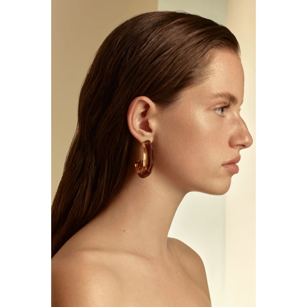 Scanlan Theodore Italian Resin Petra Earrings in Tiger Eye