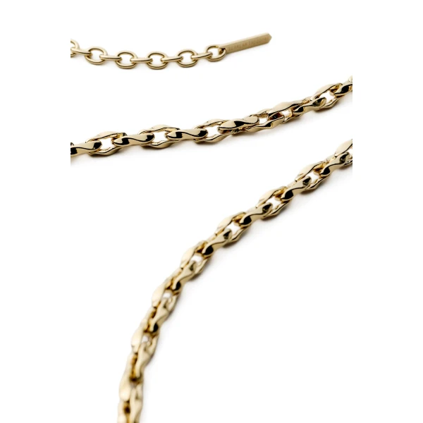 Scanlan Theodore Petra Chain Belt in Light Gold | Belts | Coveti