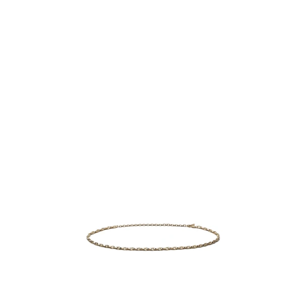 Scanlan Theodore Petra Chain Belt in Light Gold | Belts | Coveti