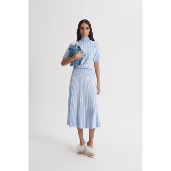 Scanlan Theodore Pleat Rib Stripe Skirt in Blue White