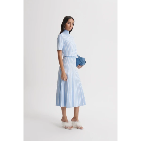 Scanlan Theodore Pleat Rib Stripe Top in Blue White