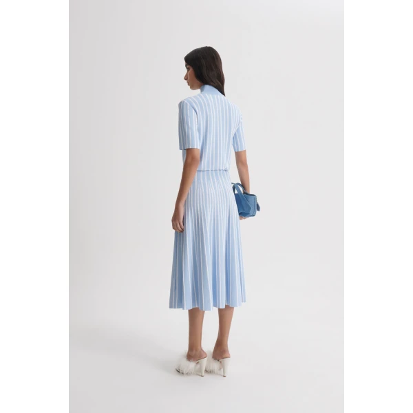 Scanlan Theodore Pleat Rib Stripe Top in Blue White
