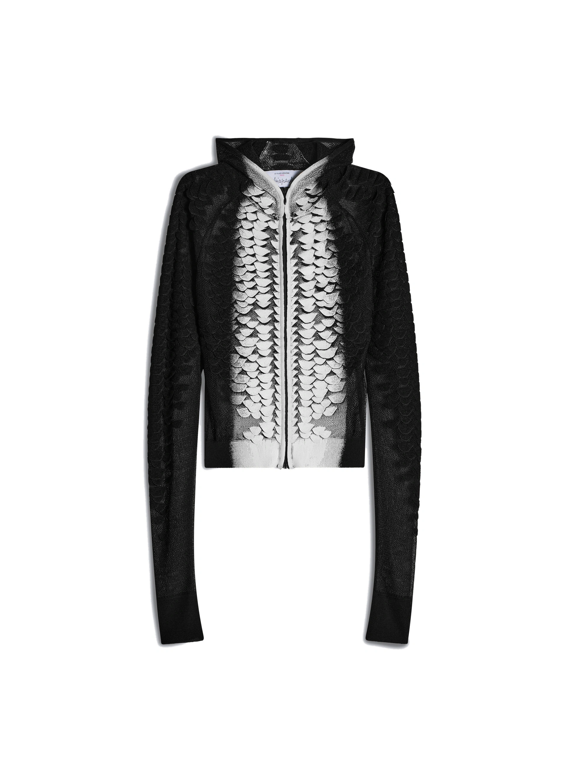 Schiaparelli Slither Hoodie Schiaparelli Slither Hoodie | Hoodies | Coveti