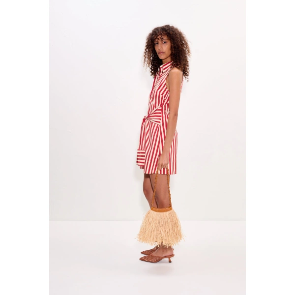 Simon Miller Inna Sleeveless Poplin Mini Dress in Venetian Red Stripe | Mini Dresses | Coveti