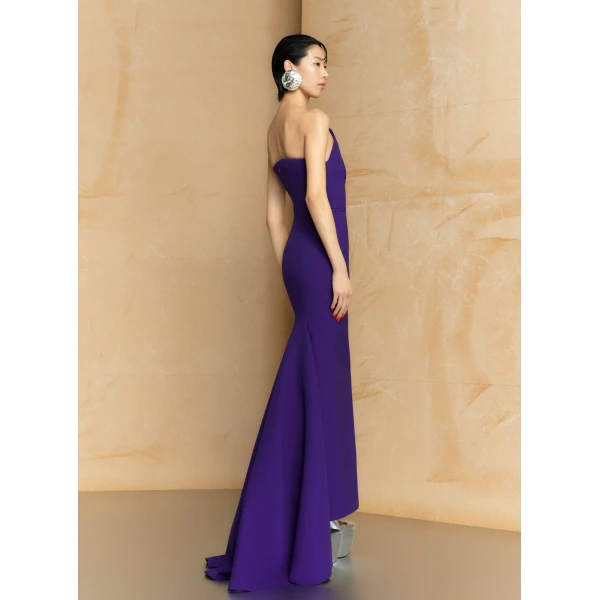 Solace London The Citra Maxi Dress in Amethyst