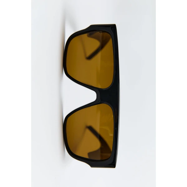St. Agni Linea Oversized Sunglasses in Black and Brown, view 4