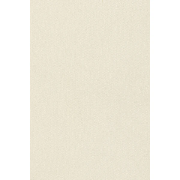 St. Agni Raw Silk Pencil Skirt in Cloud Cream, view 5