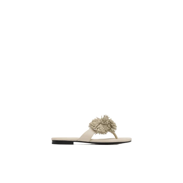 Urchin Slide in Parchment