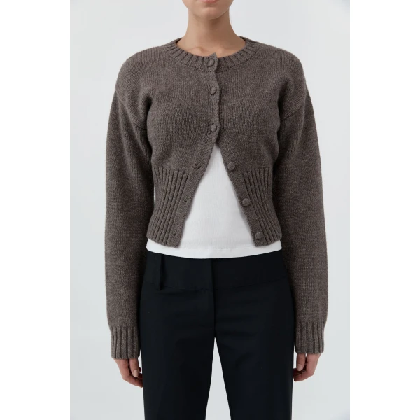 St. Agni Wool Cardigan in Taupe Melange, view 6