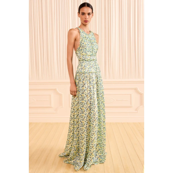 Ulla Johnson Demetra Gown in Acacia